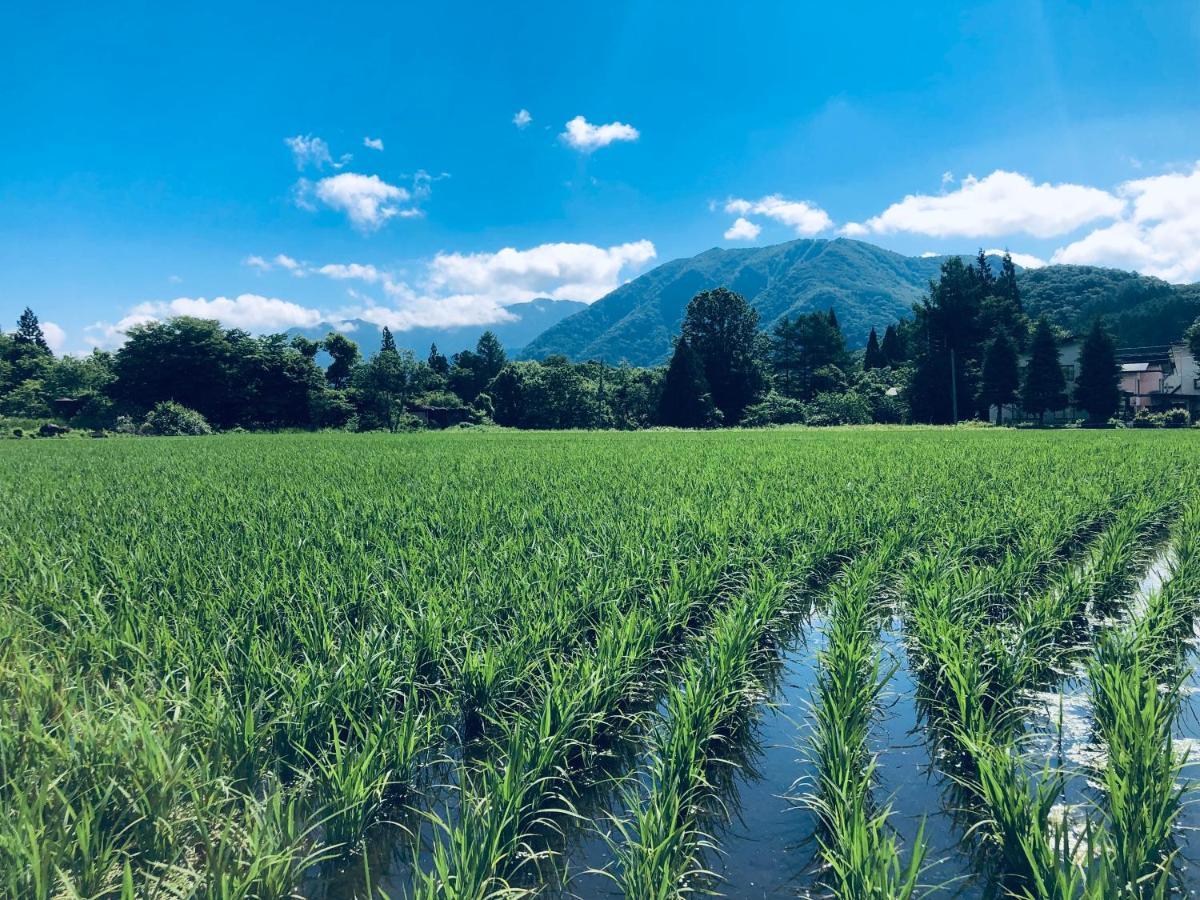 Summer Leaves Hakuba Luaran gambar